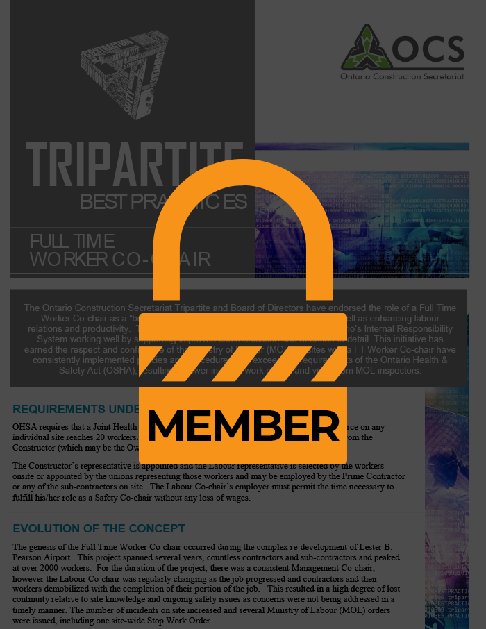 Full-Time Worker Co-Chair Tripartite Best Practice